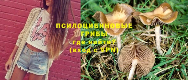 PSILOCYBIN Арсеньев