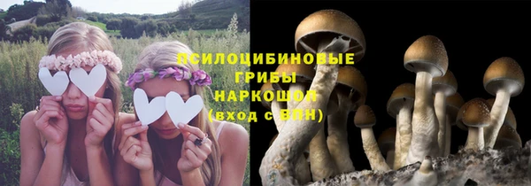 PSILOCYBIN Арсеньев
