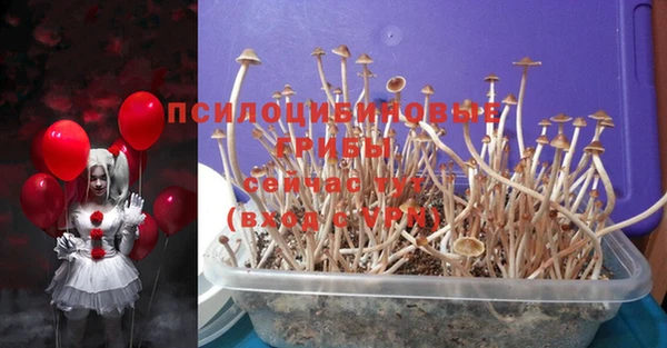 MDMA Premium VHQ Аркадак