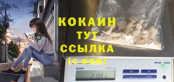 PSILOCYBIN Арсеньев