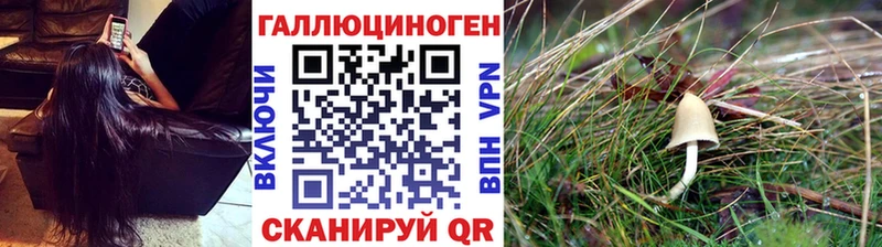 Галлюциногенные грибы MAGIC MUSHROOMS  Серафимович 